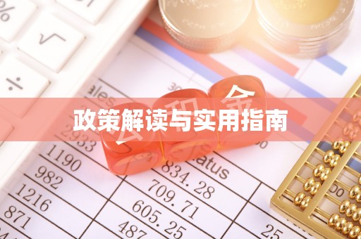 沂水政策解读与实用指南