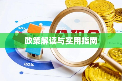 沂水政策解读与实用指南