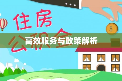 沂水高效服务与政策解析